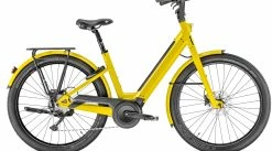 Moustache Lundi 27.3 Curry 2023