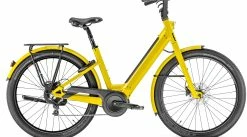 Moustache Lundi 27.5 Curry 2023